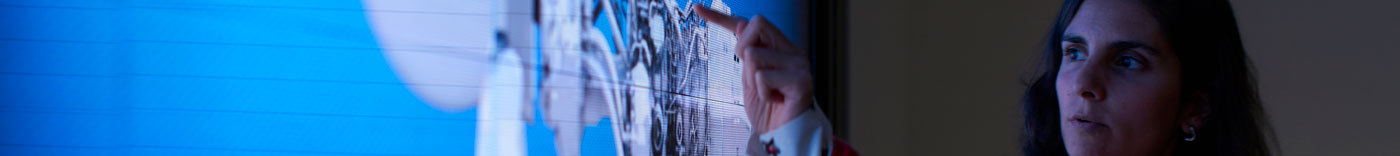 Bild zu Supplier Technical Assurance Manager